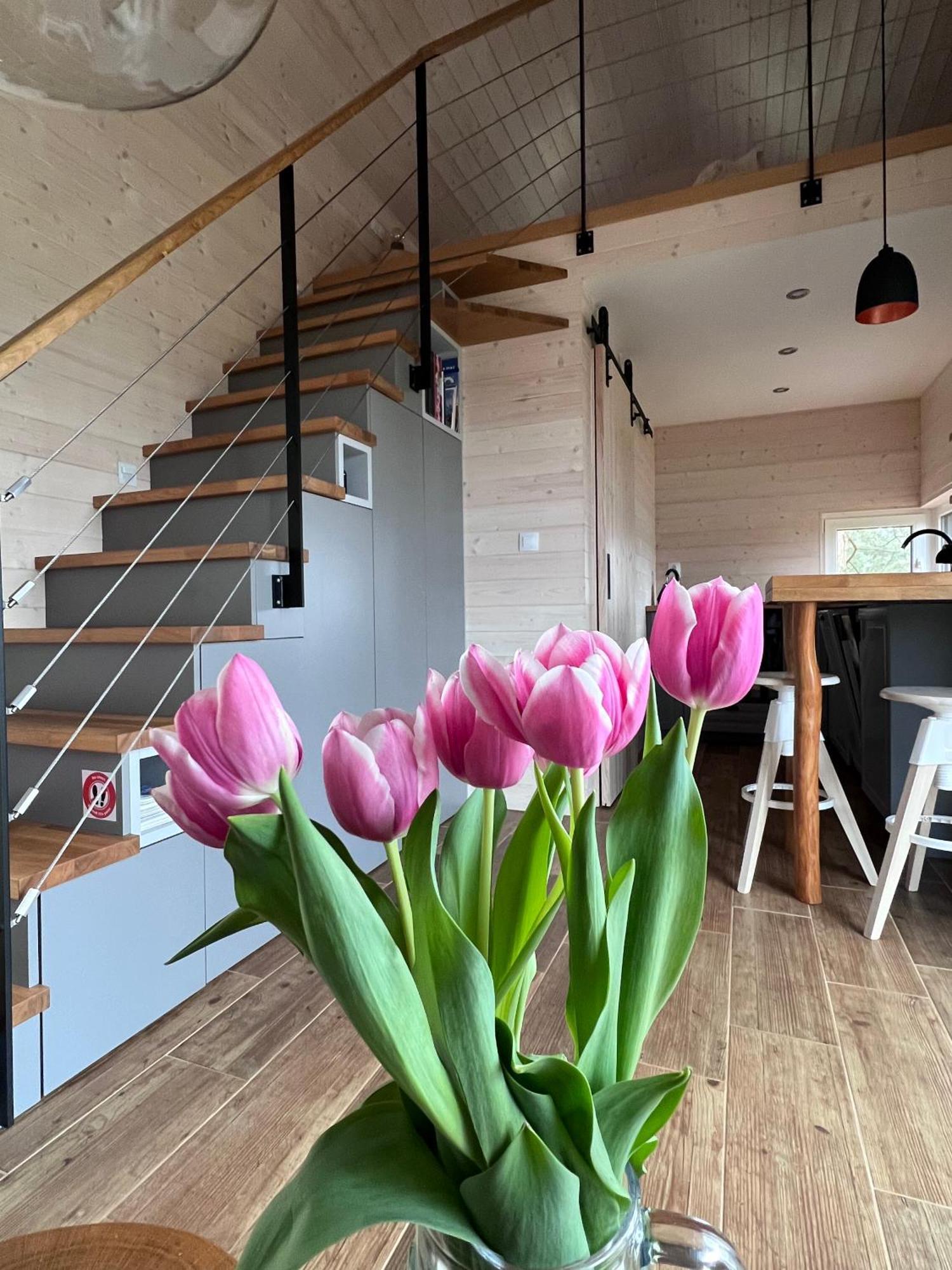Tiny Vacation Holiday home